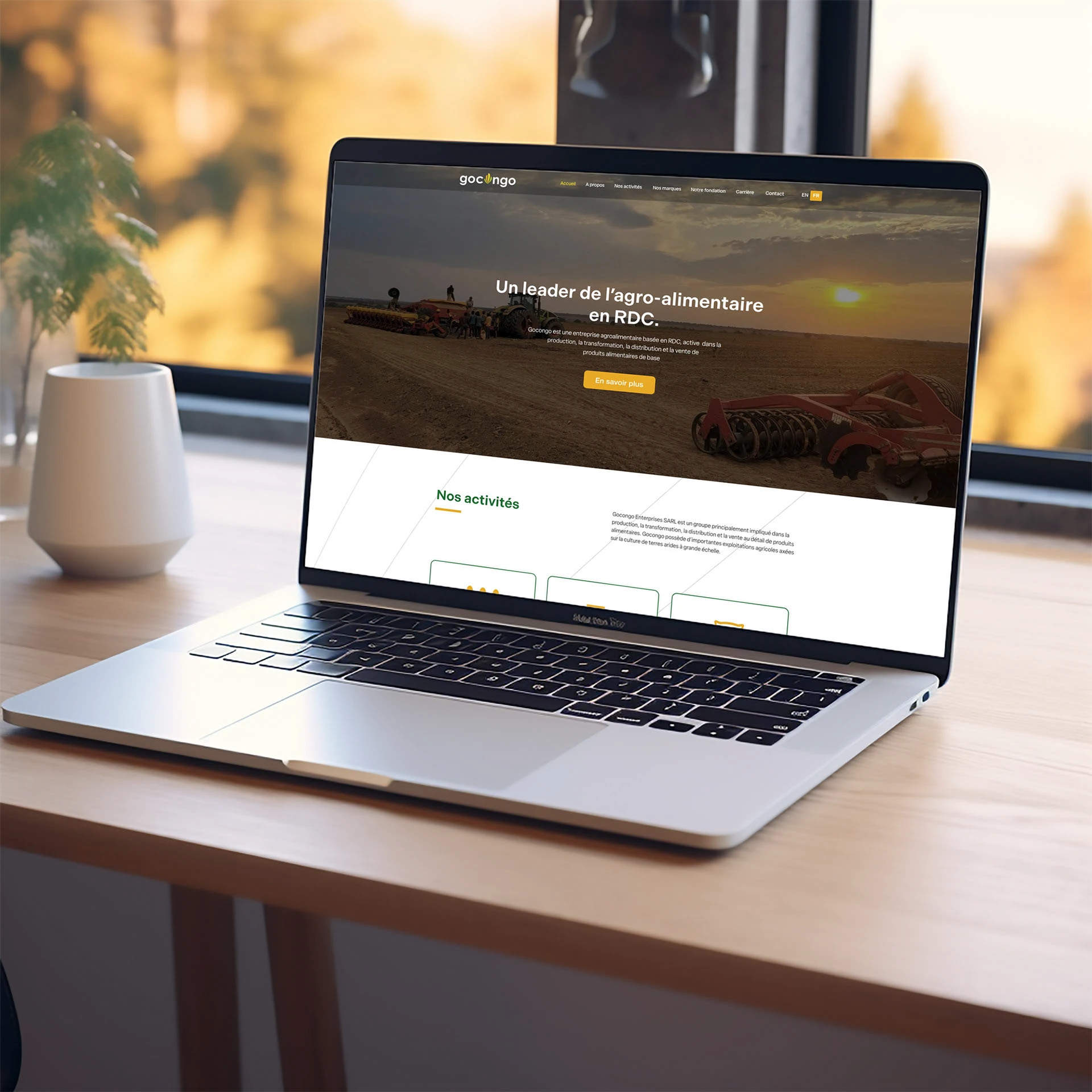 Image qui montre les site de gocongo sur u ordinateur